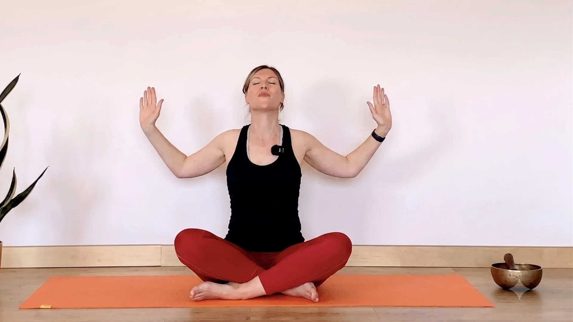 Séance (Yoga prenatal) - Soulager les nausées